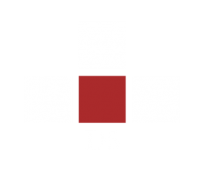 株式会社D5　ロゴ